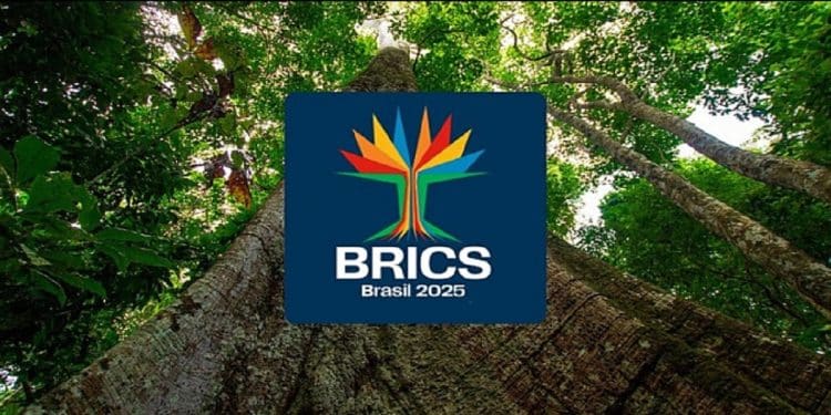 Brazil Brics