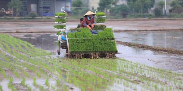 China Agriculture