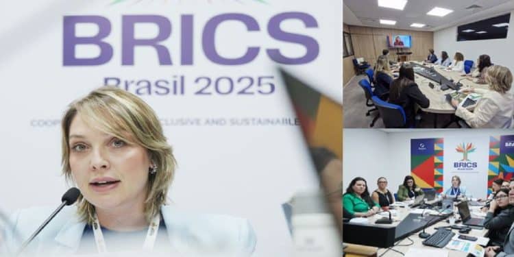 Brics tourism working group