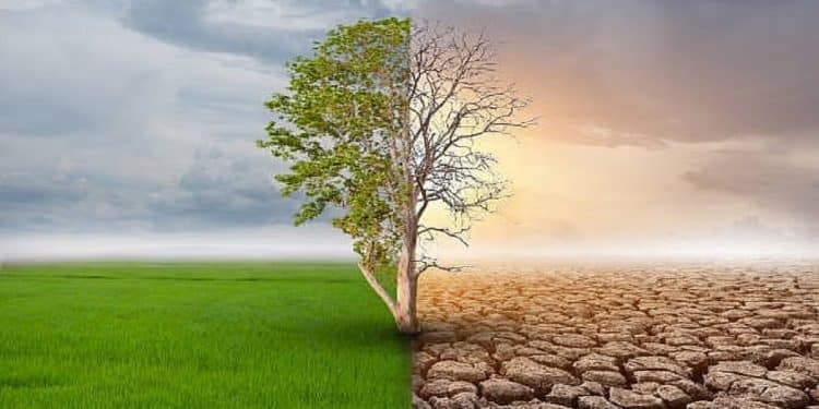 Climate changes