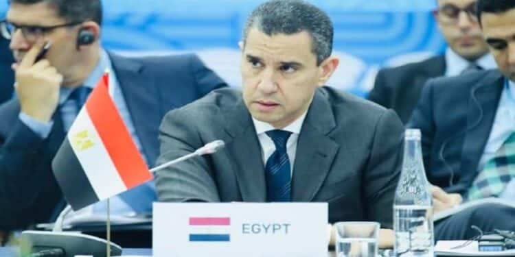 Ambassador ragy el etreby