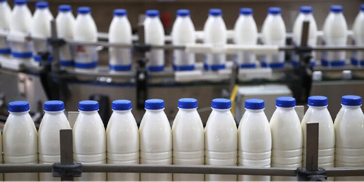 Milk