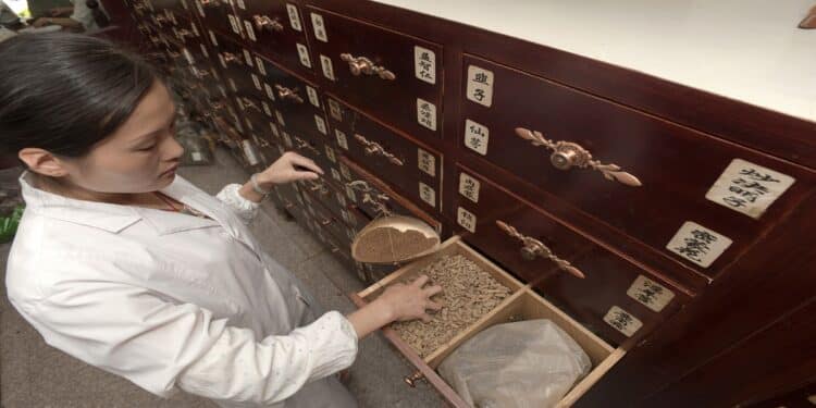 traditional chinese medicine