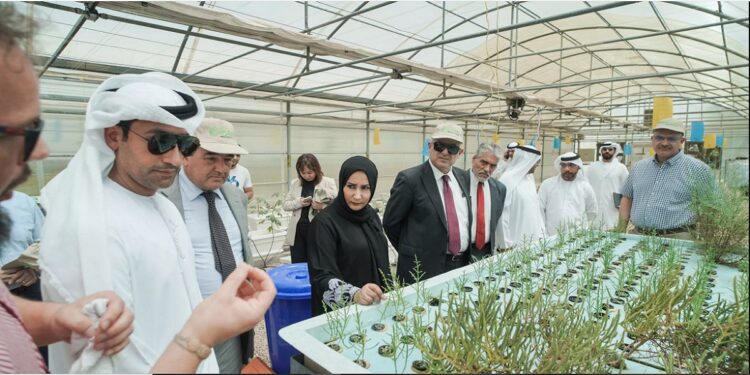 Abu dhabi agriculture
