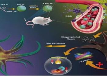 Nanoparticles alzheimer