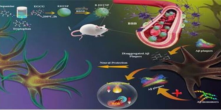 Nanoparticles alzheimer