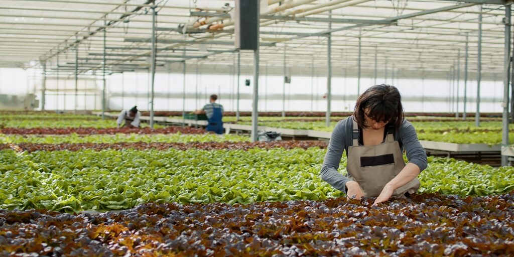 Aquaponics